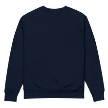 Load image into Gallery viewer, Washed Dart Crewneck